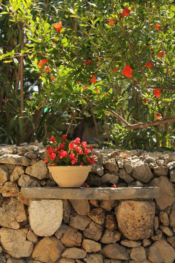 בול Apartments Nejasmic - Little House For Peaceful And Domestic Vacation מראה חיצוני תמונה