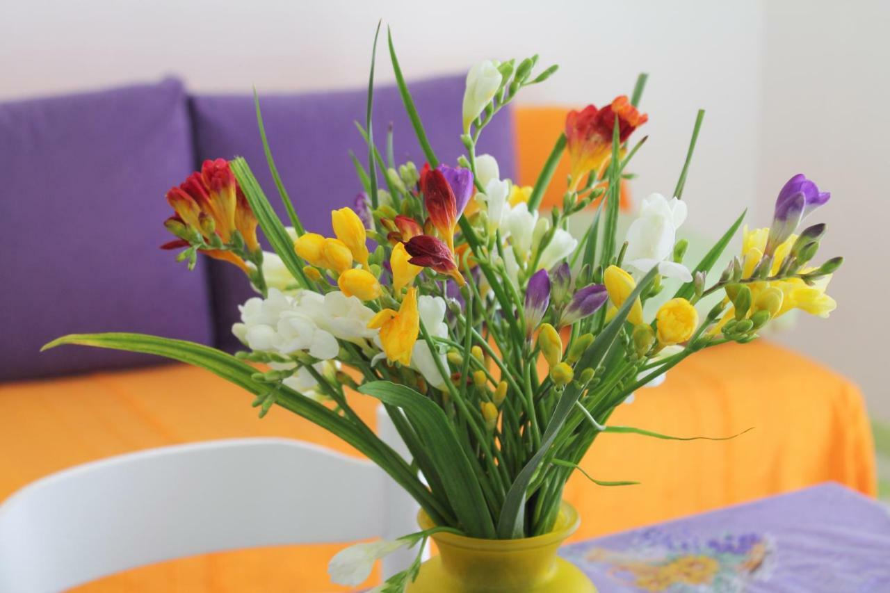 בול Apartments Nejasmic - Little House For Peaceful And Domestic Vacation מראה חיצוני תמונה