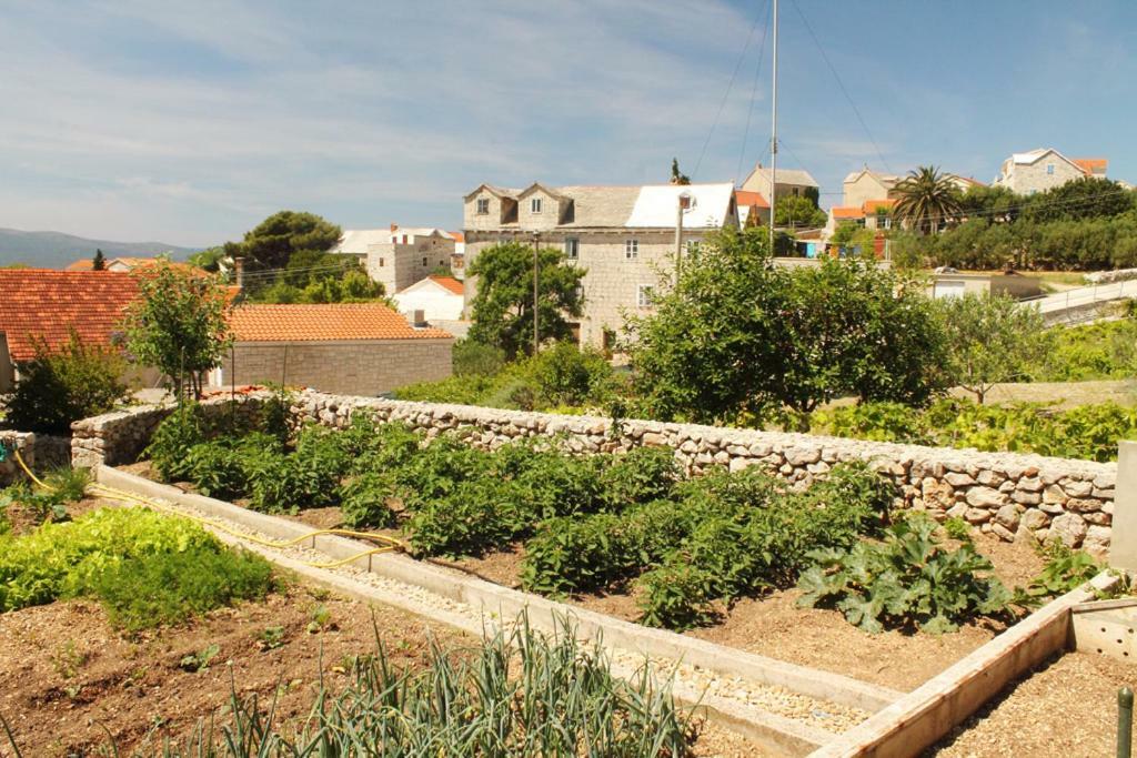 בול Apartments Nejasmic - Little House For Peaceful And Domestic Vacation מראה חיצוני תמונה