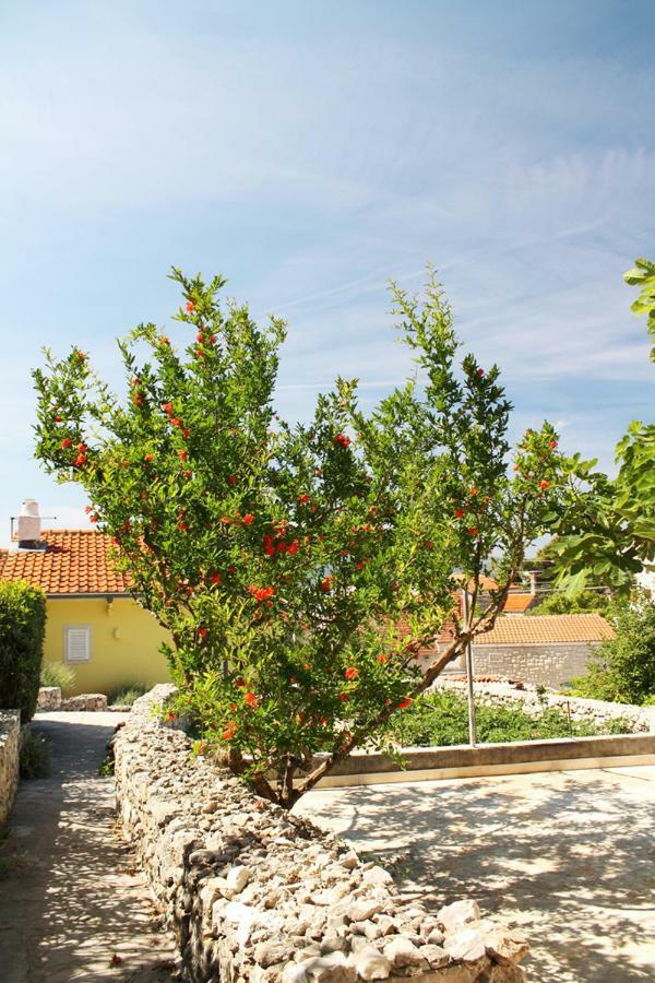 בול Apartments Nejasmic - Little House For Peaceful And Domestic Vacation מראה חיצוני תמונה